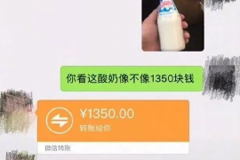 巫溪专业讨债公司，追讨消失的老赖